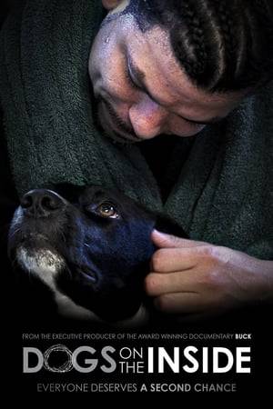 Dogs on the Inside follows the relationships between abused stray dogs and prison inmates working towards a second chance at a better life. In an attempt to re-build their confidence and prepare for a new life outside, these prisoners must first learn to handle and care for a group of neglected strays. This heart-warming story reconfirms the timeless connection between man and dog and shows the resiliency of a dogs' trust and the generosity of the human spirit in the unlikeliest of places.