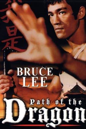 Produced and directed by Walt Missingham who, in 1983, became the first non-Chinese to practice Kung Fu at the Shaolin Temple, this authoritative and informative programme uses rarely seen archive footage to trace both the history of martial arts and the phenomenal impact Bruce Lee had on this culture. Narrated by Lee's daughter, Shannon Lee Keasler.