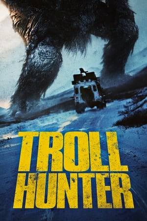 A group of students investigates a series of mysterious bear killings, but learns that there are much more dangerous things going on. They start to follow a mysterious hunter, learning that he is actually a troll hunter.