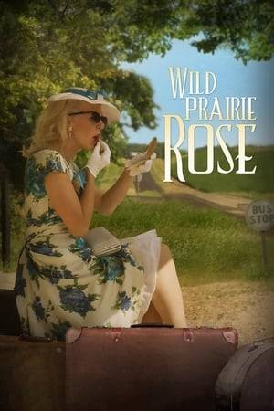 In 1952 Rose Miller returns to her rural hometown of Beresford, South Dakota to care for her ailing mother. Once there, she falls in love with a deaf man and must decide if she has the courage to follow her heart.