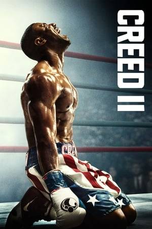 Between personal obligations and training for his next big fight against an opponent with ties to his family's past, Adonis Creed is up against the challenge of his life.