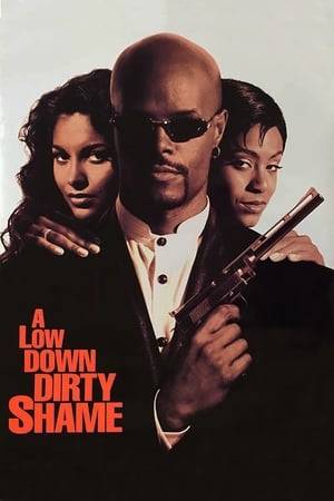A black detective becomes embroiled in a web of danger while searching for a fortune in missing drug money. During the course of his investigation, he encounters various old connections, ultimately confronting the criminal responsible for Shame's expulsion from the force. He must also deal with two women, Angela, a beautiful old flame, and Peaches, his energetic but annoying sidekick.
