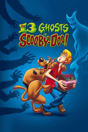 Shaggy and Scooby-Doo and friends must return 13 ghosts which they inadvertently released to a magical chest. Together with Daphne and Scrappy-Doo, along with  newcomer Flim-Flam, they travel the world facing the ghosts that must be returned to the chest.