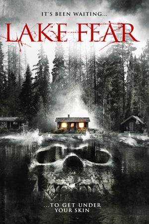 Four girls go to a cabin in the woods, which is inhabited by evil. This cabin then ensnares them in a labyrinth of macabre as they must battle their way out.