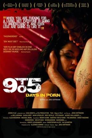 9to5 - Days in Porn focuses on the people behind a controversial and multi-billion dollar industry "The Adult Entertainment industry". It depicts their stories, each one different, unadorned and authentic, without glorification or prejudice. It delivers deep insight into their personal lives - from glamorous to grotesque - strange, fascinating, offensive, absurd and sometimes funny moments all at once.