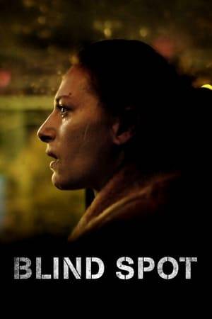 Blind Spot is a story about the grey zones in mental illness; the blind spots hard to discover, as experienced by a mother realizing her daughter struggling with far worse issues than she realized.