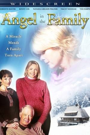 Sisters separated by a lifetime of misunderstanding and their family desperately in need of healing old wounds, find themselves brought back together on one amazing Christmas.