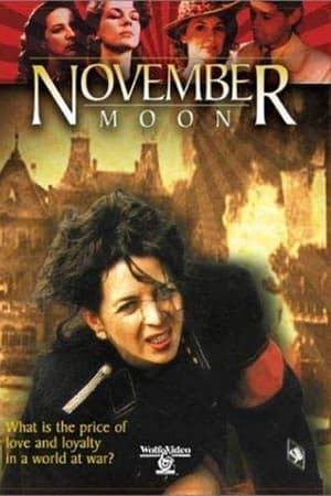 "November Moon" is a timeless and compelling love story set against the backdrop of Nazi-occupied France. On the brink of war and in the face of escalating anti-Jewish activity, November has fled her native Germany for the relative safety of Paris. There, she meets and falls in love with Ferial, a fiercely patriotic young French woman. Amid a series of life-changing wartime events, they are challenged by their extraordinary circumstances to realize their truest selves and to live - or die - by those choices.