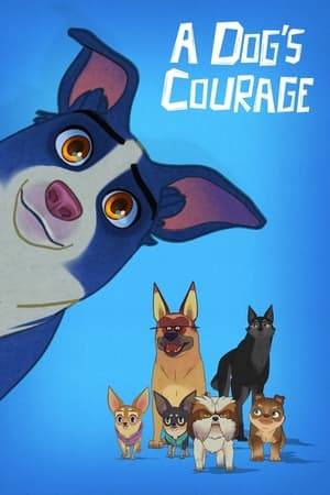 Abandoned by his owners, a feisty and playful dog joins a pack of strays and embarks on a journey filled with fun and life lessons in their pursuit to find a new and loving home.