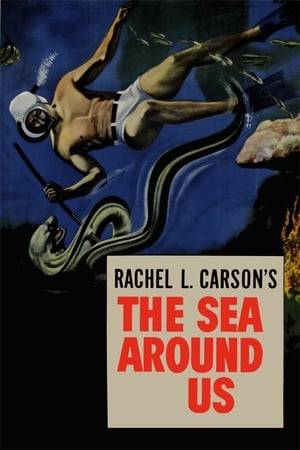 Irwin Allen explores the mysteries of the deep blue sea in this Technicolor documentary. Based on Rachel L. Carson's famous study, this Oscar winning project investigates everything under the sea, from sharks, whales and octopuses to microscopical creatures and their coexistence in this vast underwater world.