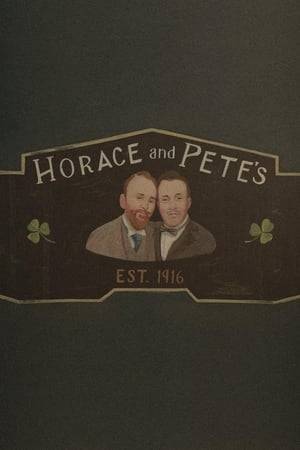The owners of a dive bar in Brooklyn, Horace and Pete, along with bar regulars share their experiences and lives with each other while drinking or working at the bar.