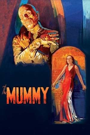 An ancient Egyptian priest named Imhotep is revived when an archaeological expedition finds his mummy and one of the archaeologists accidentally reads an ancient life-giving spell. Imhotep escapes from the field site and searches for the reincarnation of the soul of his lover.