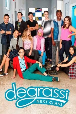 Follow a group of high school freshmen, sophomores, juniors, and seniors from Degrassi Community School, a fictional school in Toronto, Ontario, as they encounter some of the typical issues and challenges common to a teenager's life.