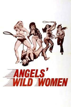 These angels don't wear halos. After stomping the lights out on a couple of racist rapists, some tough biker babes take refuge in a rural commune run by a peace-loving guru who's actually a drug kingpin with a vicious gang -- and who specializes in human sacrifices.