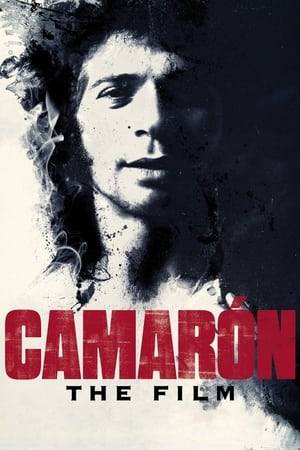 This documentary looks back on the life of legendary flamenco singer Camarón, who went from humble roots to rock star status to a tragic early death.