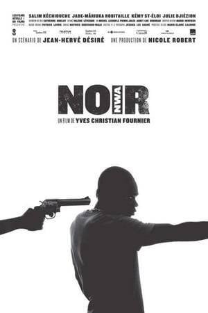NOIR chronicles the lives of four people living in a neighborhood plagues by poverty and violence, aspiring to freedom and happiness. Kadhafi, a 26 year old aspiring rapper and ex-member of a street gang, just out of prison, wants to steer clear of troubles. Fleur, a 17 year old Haitian mother in an abusive and passionate relationship with her daughter's father, dreams of leaving the ghetto and becoming a nurse. Suzie, a 20 year old stripper who falls for a gang member. Dickens, 16 year old Haitian wants to be part of the street gang controlled by his older brother.
