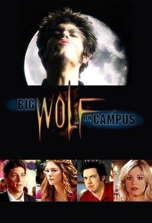 Tommy is bitten by a werewolf during a camping trip a week before the start of his senior year. After becoming a werewolf, he fights against supernatural entities to keep his hometown of Pleasantville safe.