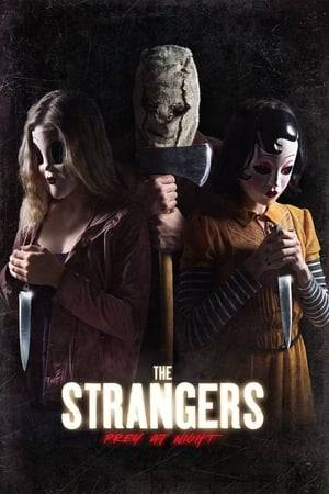A family's road trip takes a dangerous turn when they arrive at a secluded mobile home park to stay with some relatives and find it mysteriously deserted. Under the cover of darkness, three masked killers pay them a visit to test the family's every limit as they struggle to survive.