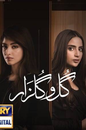 Gulzar is a studious and innocent girl in college who wants to pass her exams, and make her brother proud as well as her whole family. Gul on the other hand is a cunning backstabbing girl who wants money; and unfortunately will do anything it takes to achieve her greedy goals.