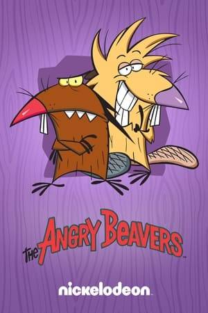 The Angry Beavers is an American animated television series created by Mitch Schauer for the Nickelodeon channel. The series revolves around Daggett and Norbert Beaver, two young beaver brothers who have left their home to become bachelors in the forest near the fictional Wayouttatown, Oregon.