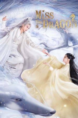 A young maidservant named Liu Ying saves a snake on behalf of her young mistress in a chance encounter. However, the snake turns out to be a thousand year ancient dragon named Yuchu Longyan, who now wants to marry her to repay her kindness. The two's lives then becomes entangled with each another as their love transcends over three lifetimes.