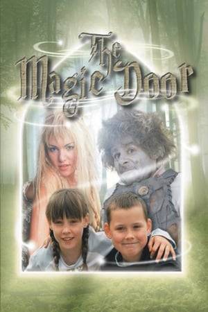 A magic Troll aims to defeat the Black Witch and find the magic door that will lead him home with the help of the Elf Flip, and the Boy Liam.