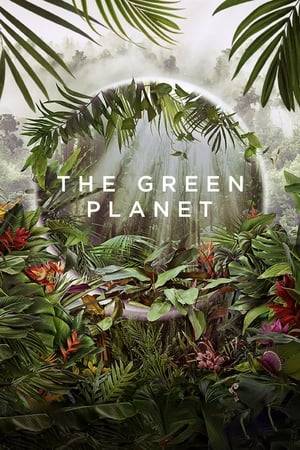 This documentary series about plants is the first immersive portrayal of an unseen, inter-connected world, full of remarkable new behaviour, emotional stories and surprising heroes in the plant world. Planet Earth from the perspective of plants.