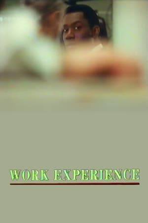 Work Experience is a 1989 short film directed by James Hendrie. It follows Terence who is caught in a vicious circle. He cannot get a job because he has no experience, but he cannot gain experience without getting a job!  The film won an Oscar for Best Live Action Short Film.