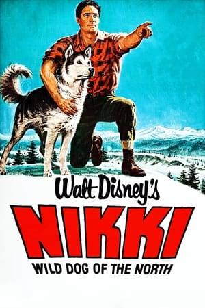 A family film about Nikki, a half-wolf, half-dog raised in the Yukon during the gold rush era. After being separated from her master, Nikki must fend for herself amidst bears, the harsh Yukon weather, and a trapper who wants her skin.