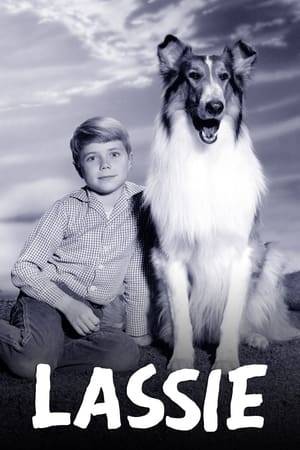Lassie is the pet of Jeff Miller, an 11-year-old farm boy. The two become best friends and enjoy family adventures in the American countryside, teaching each other about love, nature and commitment.