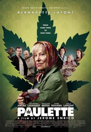 Paulette lives alone in a housing project in the Paris suburbs. With her meager pension, she can no longer make ends meet.