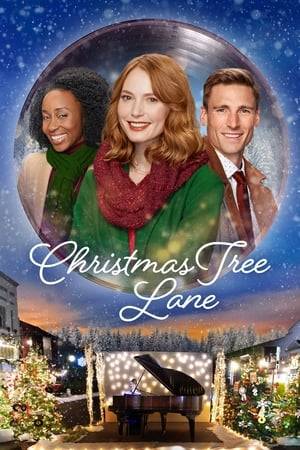 Music store owner Meg spearheads the community effort to save the Christmas Tree Lane shopping district from demolition. As she finds herself falling for Nate, a recent acquaintance, she’s thrown when she learns his surprising tie to the developer.