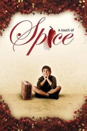 "A Touch of Spice" is a story about Fanis, a young Greek boy growing up in Istanbul, whose grandfather, a culinary philosopher and mentor, teaches him that both food and life require a little salt to give them flavor. They both require... A Touch of Spice. Fanis grows up to become an excellent cook and uses his cooking skills to spice up the lives of those around him. 35 years later he leaves Athens and travels back to his birthplace of Istanbul to reunite with his grandfather and his first love. He travels back only to realize that he forgot to put a little bit of spice in his own life.