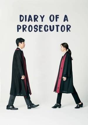 The stories of overworked prosecutors's daily lives in Seoul. A drama depicting the mundane daily routine of overworked prosecutors staying up all night to tackle all the different cases handed over by the police.