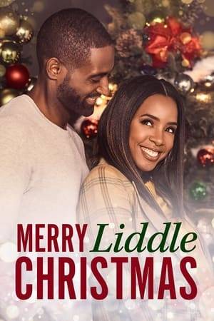 The messy family of a successful, super-together single tech entrepreneur descends on her gleaming new dream home for the holidays. Christmas traditions collide and family drama ensues as she struggles to keep her house together in time for a glossy video shoot of "the perfect Christmas."