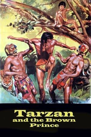After a ruler dies, tradition dictates the new ruler must accomplish a series of harrowing challenges whilst competing with other aspirants. One of them, Nasu a young prince, engages in the contest, but evildoers plan the young prince's demise. Tarzan protects him while ensuring he meets the tests