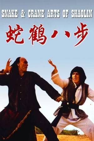Jackie Chan stars as the young warrior Hsu Yiu Fong. Hsu has been entrusted with the book of the "Art of the Snake and Crane," after the mysterious disappearance of the eight Shaolin Masters who had written it. He must fight off numerous clans who are all attempting to steal the book from him, to find out the true reason for the disappearance of the Shaolin Masters.