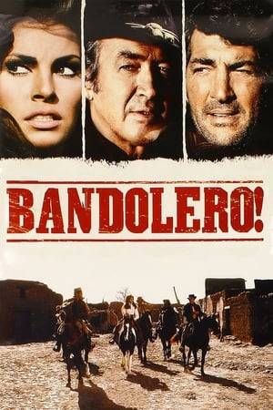 Posing as a hangman, Mace Bishop arrives in town with the intention of freeing a gang of outlaws, including his brother, from the gallows. Mace urges his younger brother to give up crime. The sheriff chases the brothers to Mexico. They join forces, however, against a group of Mexican bandits.