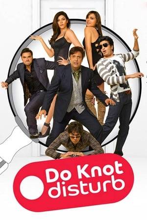 Do Knot Disturb is a comedy movie which is based on a rich businessman who wants to hide his extra marital affair with a supermodel. He bribes a waiter into pretending to be the model's boyfriend. Mistaken identities and misunderstandings follow which are sure to take the viewers on a hilarious ride.It is a remake of the French movie La doublure (The Valet).