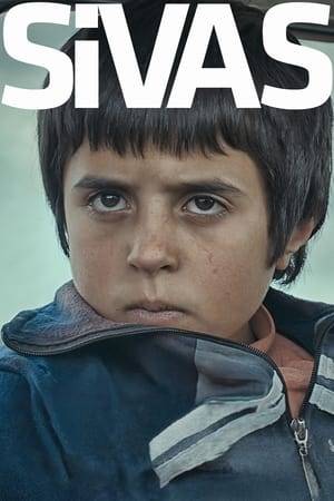 Establishing a bleak village in Eastern Turkey as its setting, Sivas features the story of Aslan, an eleven-year-old boy, and Sivas, a weathered fighting dog who develop a strong relationship after Aslan finds Sivas wounded in a ditch, left to die.