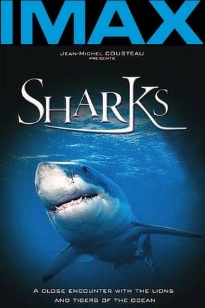 Jean-Michel Cousteau invites you to embark on a breathtaking underwater voyage to discover the ultimate predator: the shark. Experience an astonishing up-close encounter in 3D with the lions and tigers of the ocean.