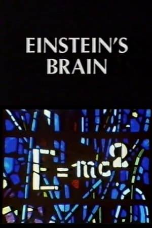 Documentary about Kenji Sugimoto, professor in Math and Science history at Kinki university in Japan. He has spent the last 30 years publishing works about Einstein and his personality. To complete his works he travels to America to find Einstein's brain.