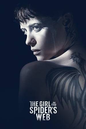 After being enlisted to recover a dangerous computer program, hacker Lisbeth Salander and journalist Mikael Blomkvist find themselves caught in a web of spies, cybercriminals and corrupt government officials.