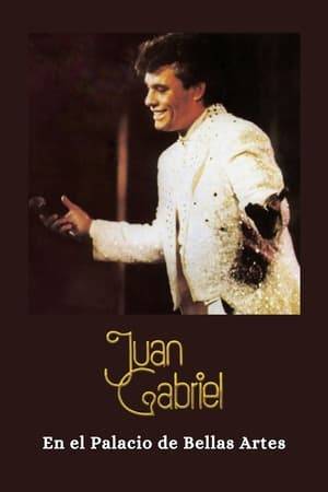 Juan Gabriel en El Palacio de Bellas Artes is a live concert dvd released by Juan Gabriel from Palacio de Bellas Artes Mexico on December 20, 1990.