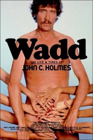 Friends, enemies, acquaintances, and family of porn star John Holmes recall their experiences with him, from his childhood to his eventual death from AIDS in 1988.
