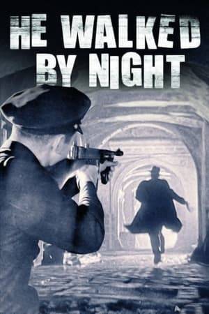This film-noir piece, told in semi-documentary style, follows police on the hunt for a resourceful criminal who shoots and kills a cop.