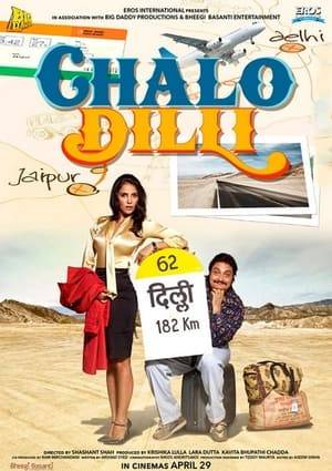 Lara Dutta (Mihika) accompanied by Vinay Pathak (Manu) rediscover the colors of India in their journey to Delhi.