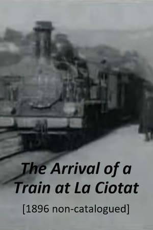 Probably filmed in 1895, a group of people stand along the platform of a railway station in La Ciotat, waiting for a train. The train pulls up and attendants help passengers off and on. This was not in the Lumière's official catalog, and was likely screened in early 1896. This film is often misidentified on Youtube as "L'Arrivée d’un train à La Ciotat", which is the title of the 1897 remake.