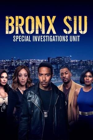 An elite task force based out of The Bronx handles all of New York City’s most demanding and difficult cases. Secrets, lies and double lives intertwine as the story of Bronx SIU unfolds.