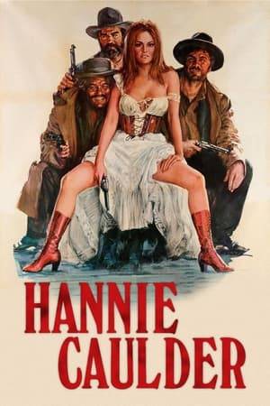 Hannie enlists the aid of bounty hunter Tom Price to teach her how to be a gunfighter so she can hunt down the 3 men who killed her husband and raped her.